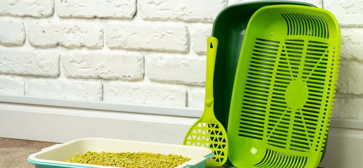 The Ultimate Guide to Choosing Cat Litter and Litter Trays