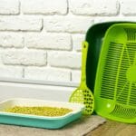 The Ultimate Guide to Choosing Cat Litter and Litter Trays