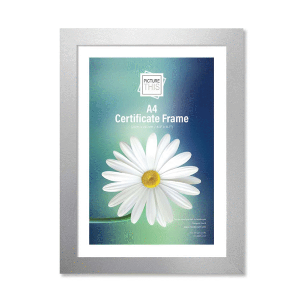 Silver Photo Frame A4 | Modern Picture Frame for Certificates, Photos & Wall Display